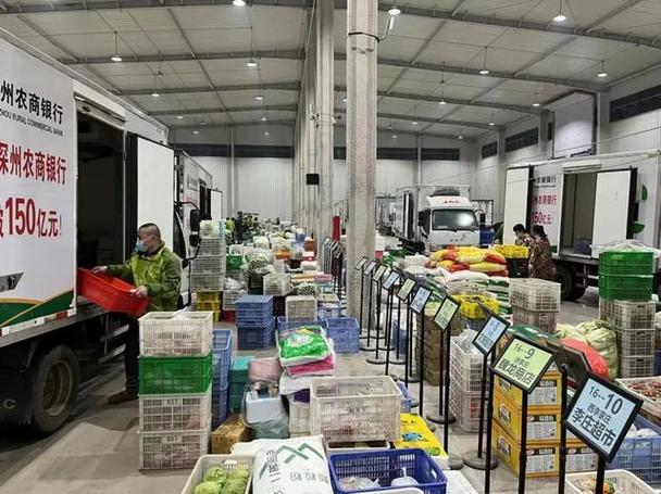 车水马龙里的温情——食品配送一线的观察与思考